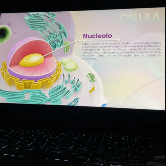Slide Turbinado 3